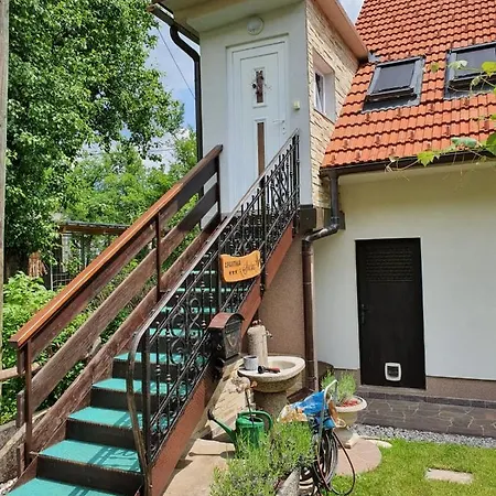 Apartma Svetina *