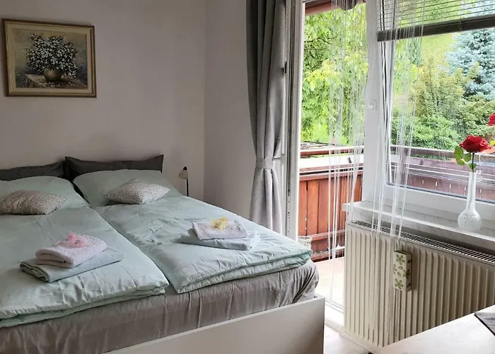 Apartma Svetina Lejlighed *